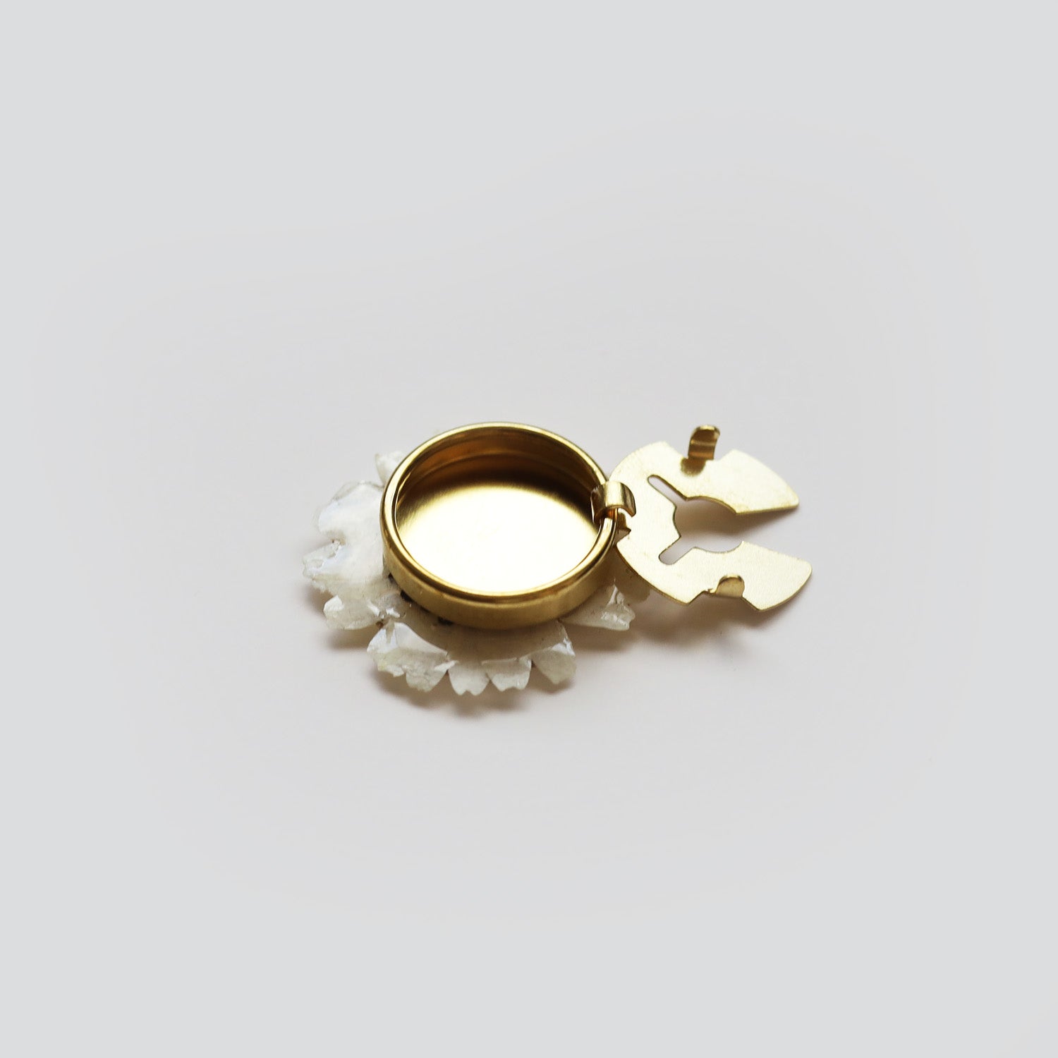 Dried Daisy Shirt Button Cover