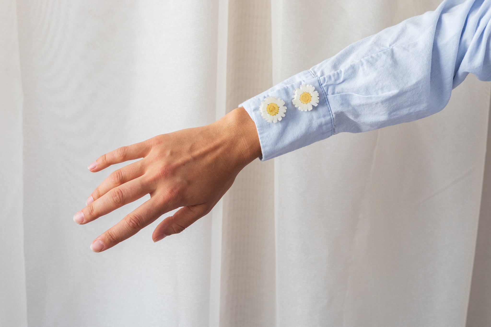 Dried Daisy Shirt Button Cover