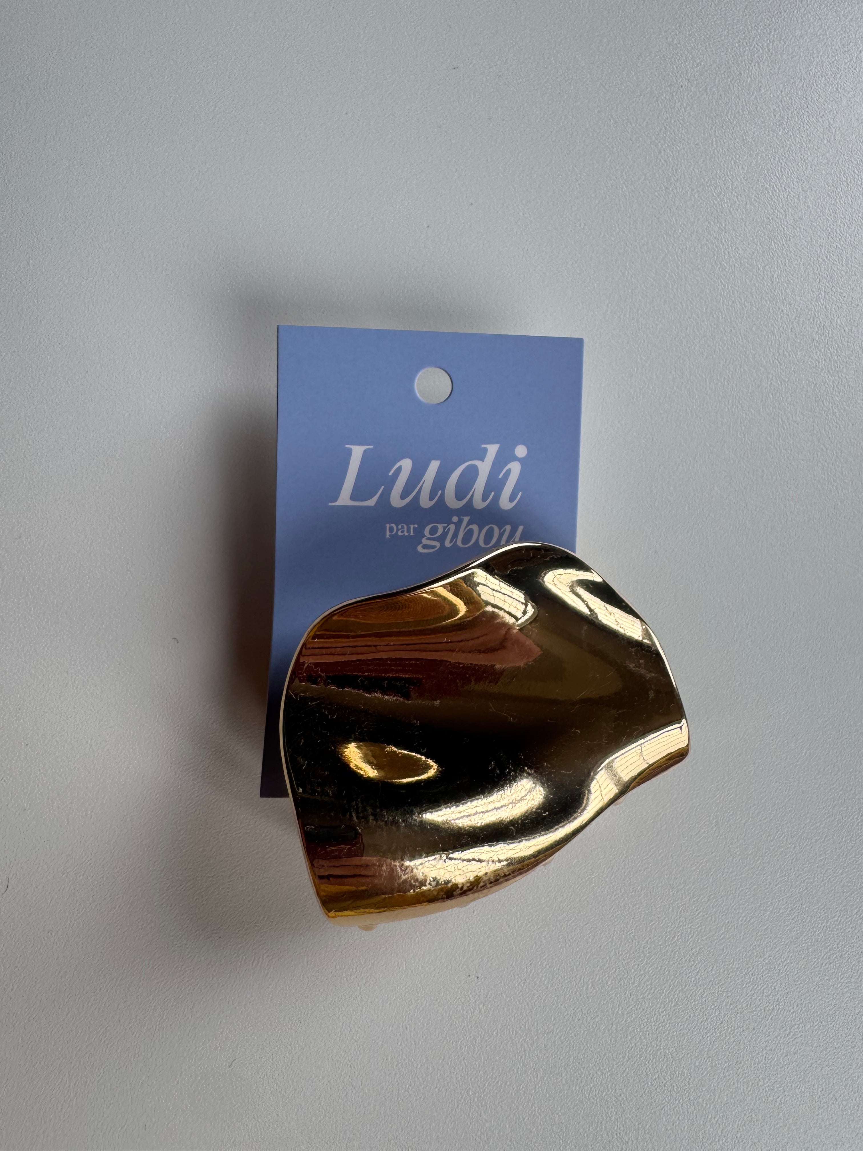 Imperfect - Ludi golden metal clip