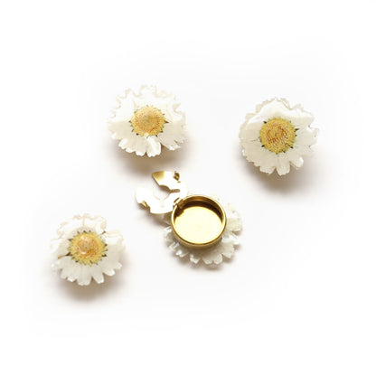Dried Daisy Shirt Button Cover