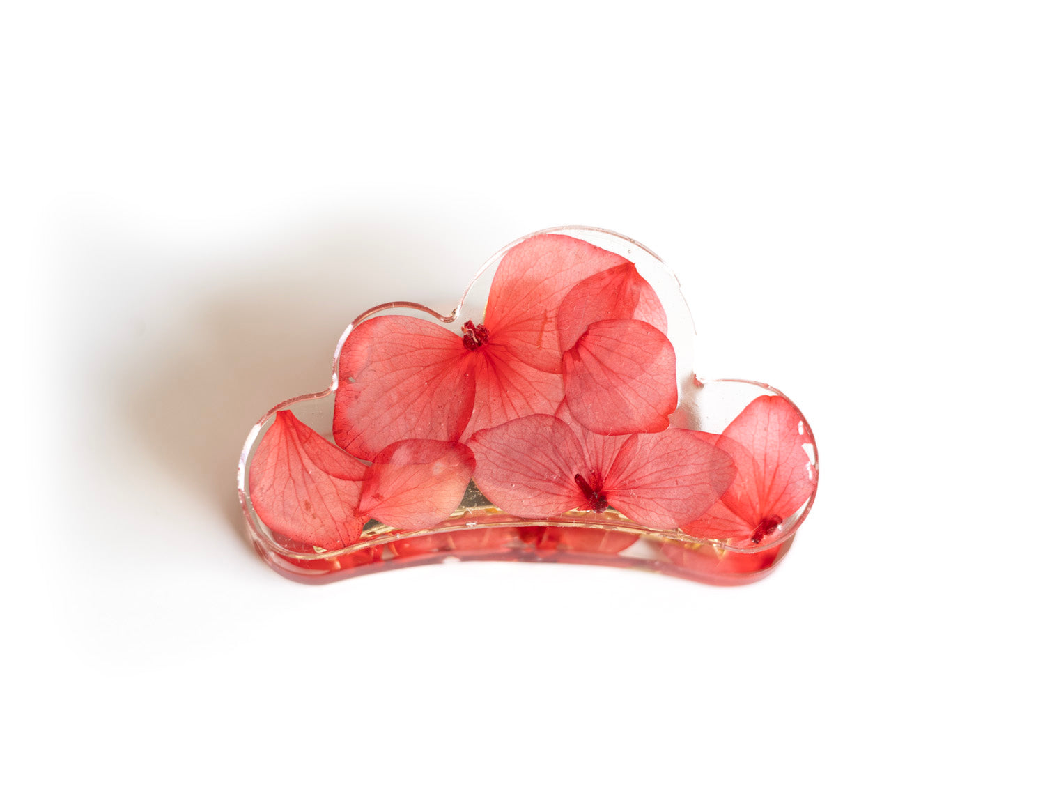 Cloud claw clip with dried flowers