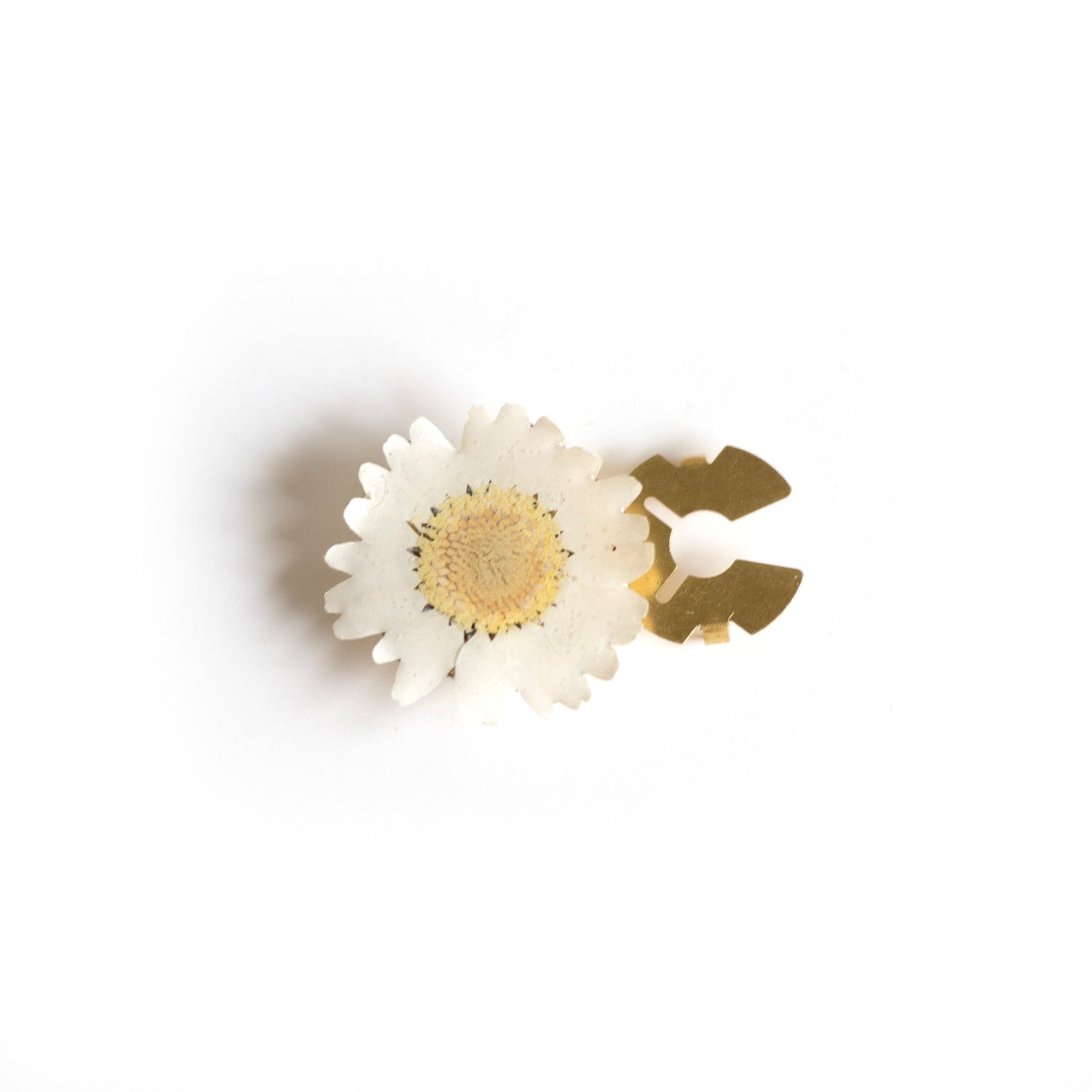 Dried flower shirt button cover