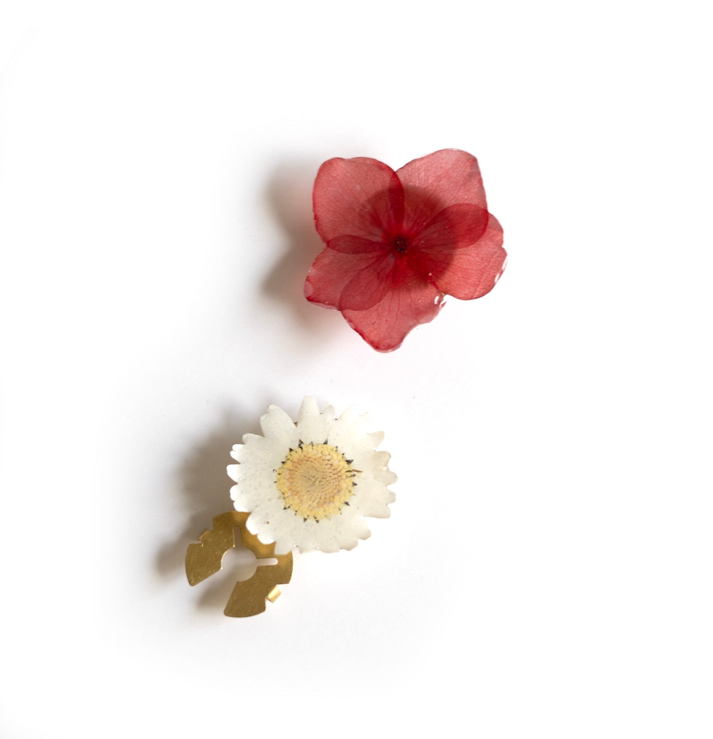Dried flower shirt button cover