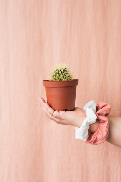 Sample - Mystery scrunchie