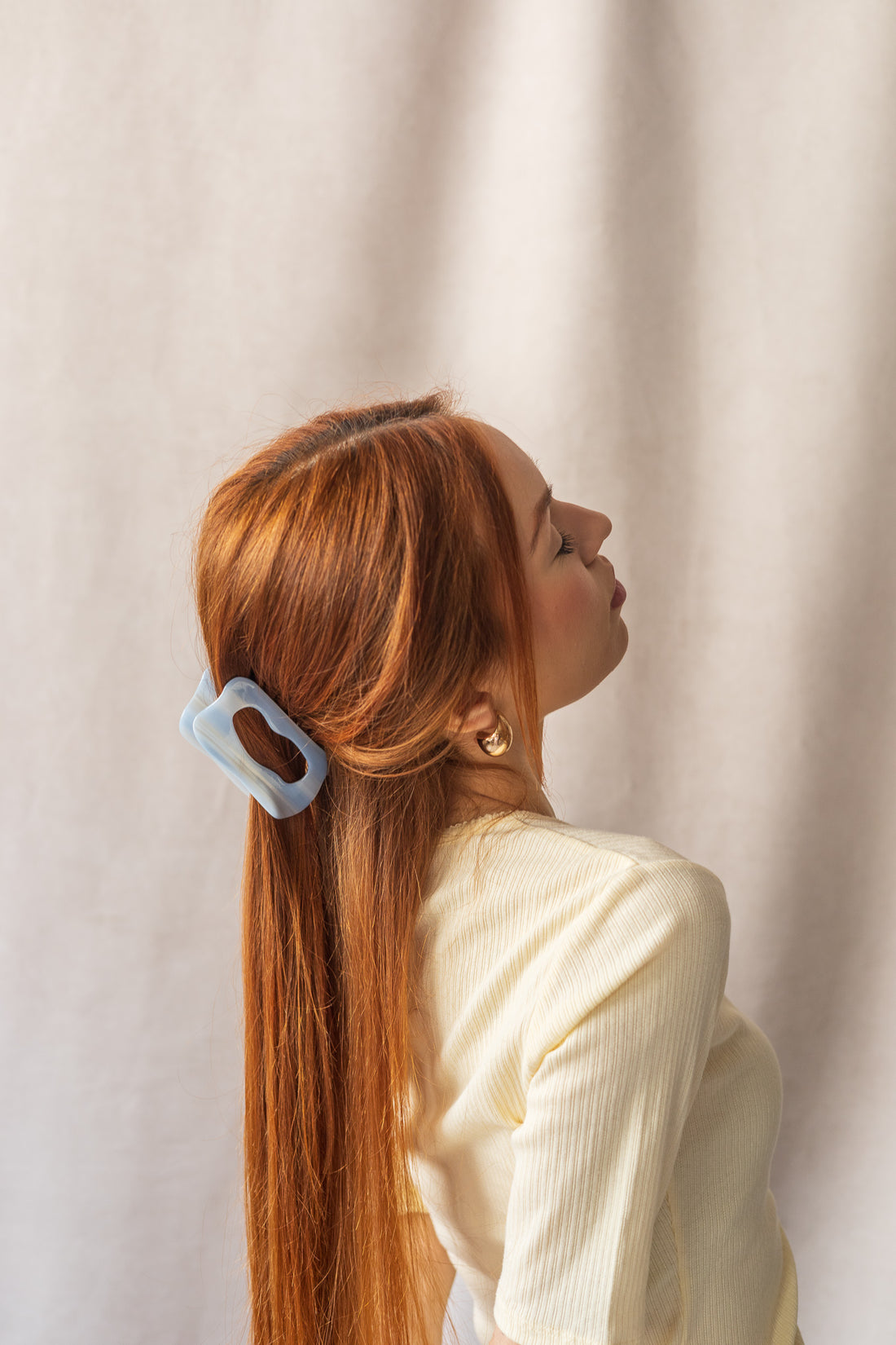 Ludi acetate hair clip