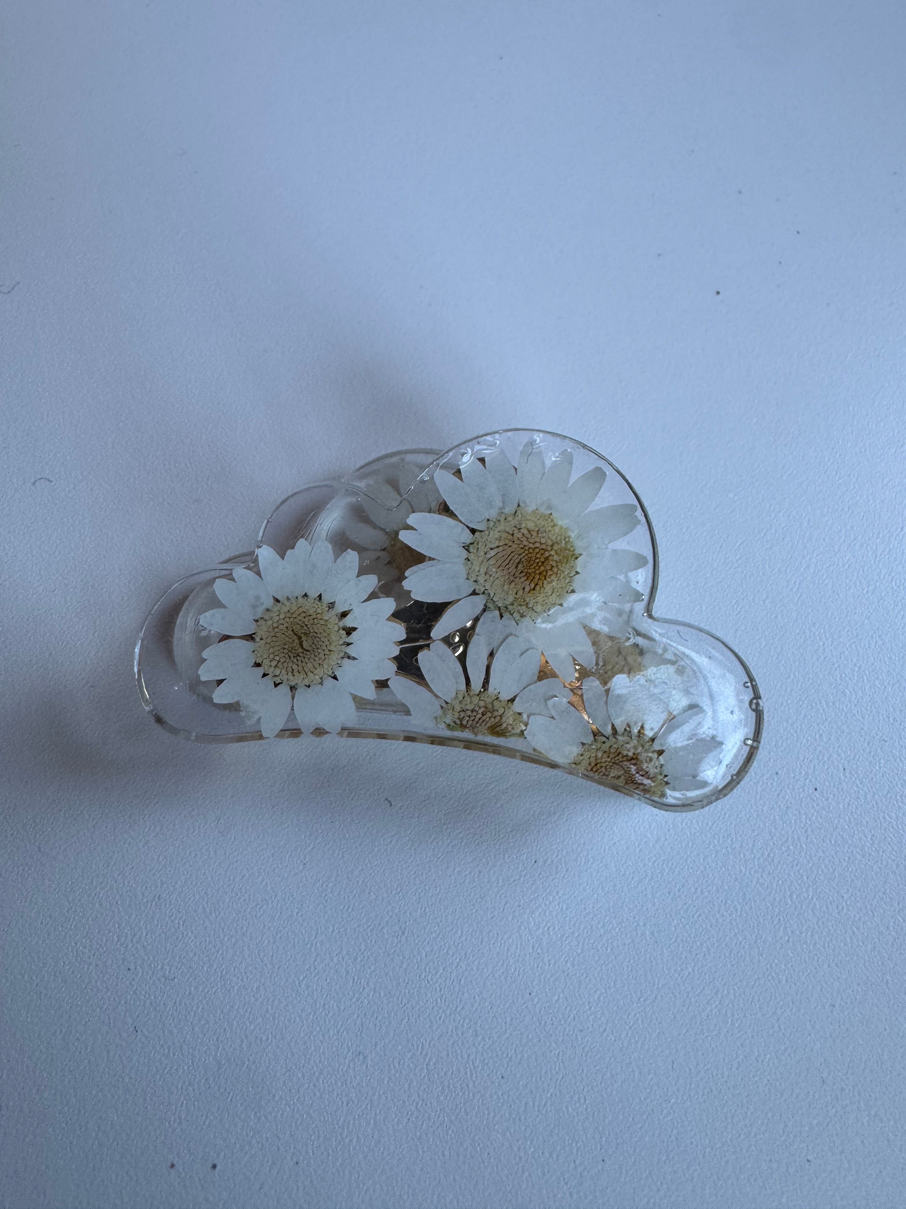 Échantillon - Pince en fleurs séchées sur résine marguerite