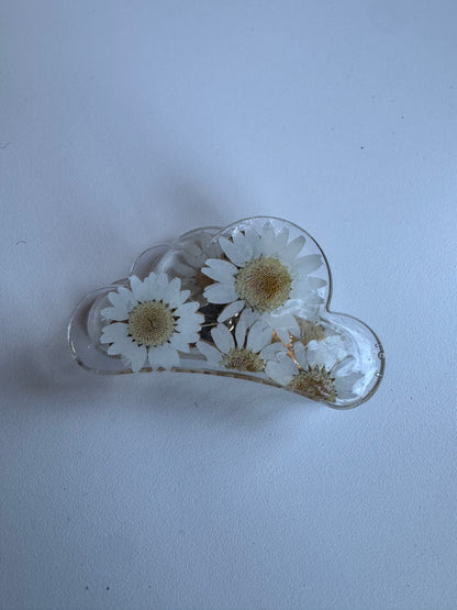 Échantillon - Pince en fleurs séchées sur résine marguerite