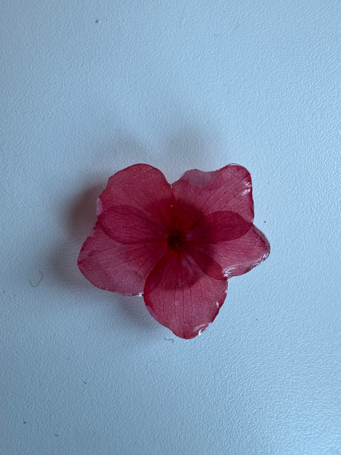 Imparfait - Cache bouton en fleur rouge